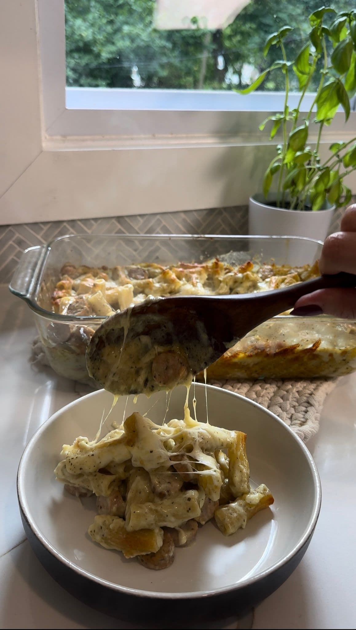 Chicken Alfredo