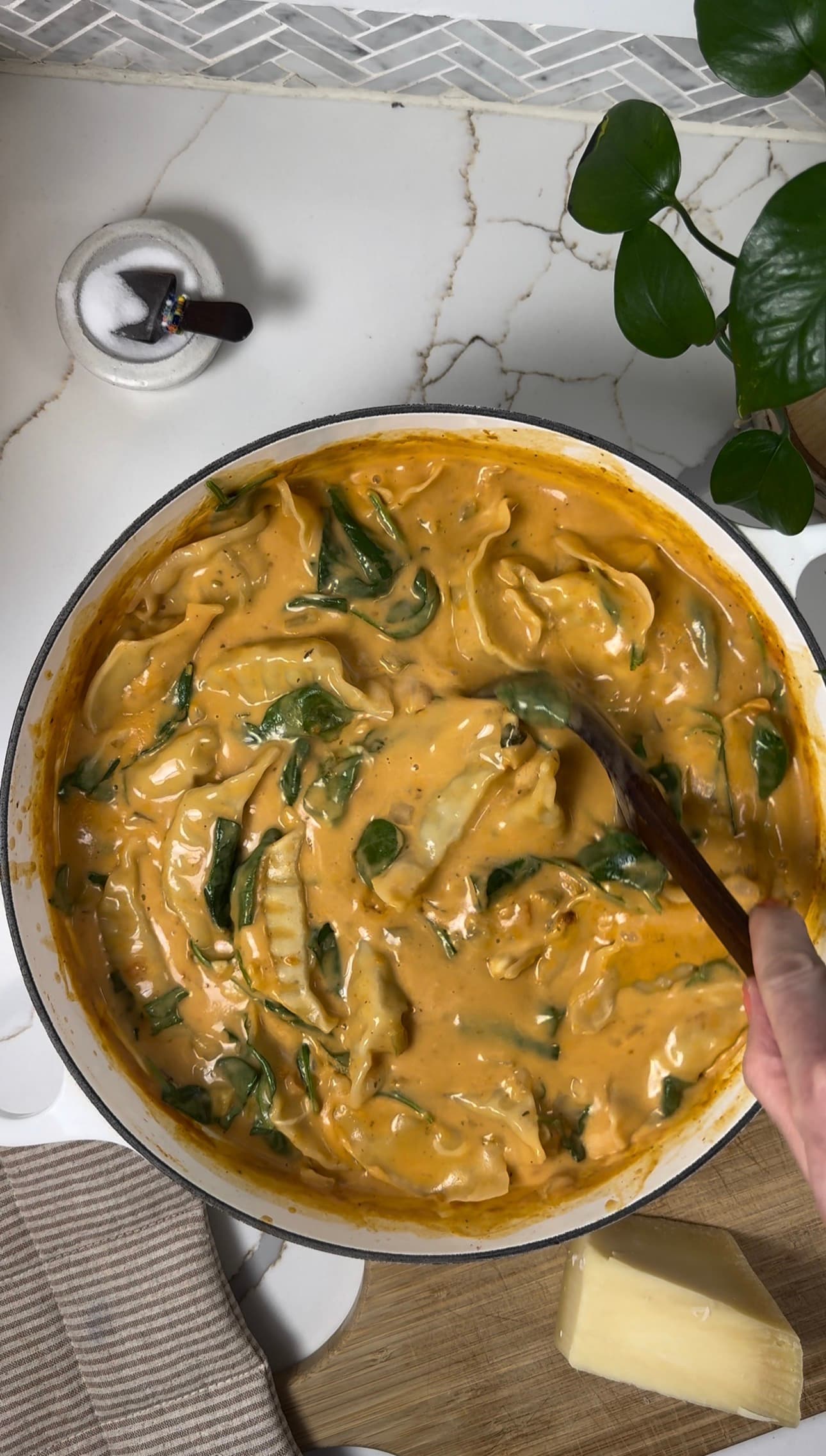 Creamy Dumpling Soup