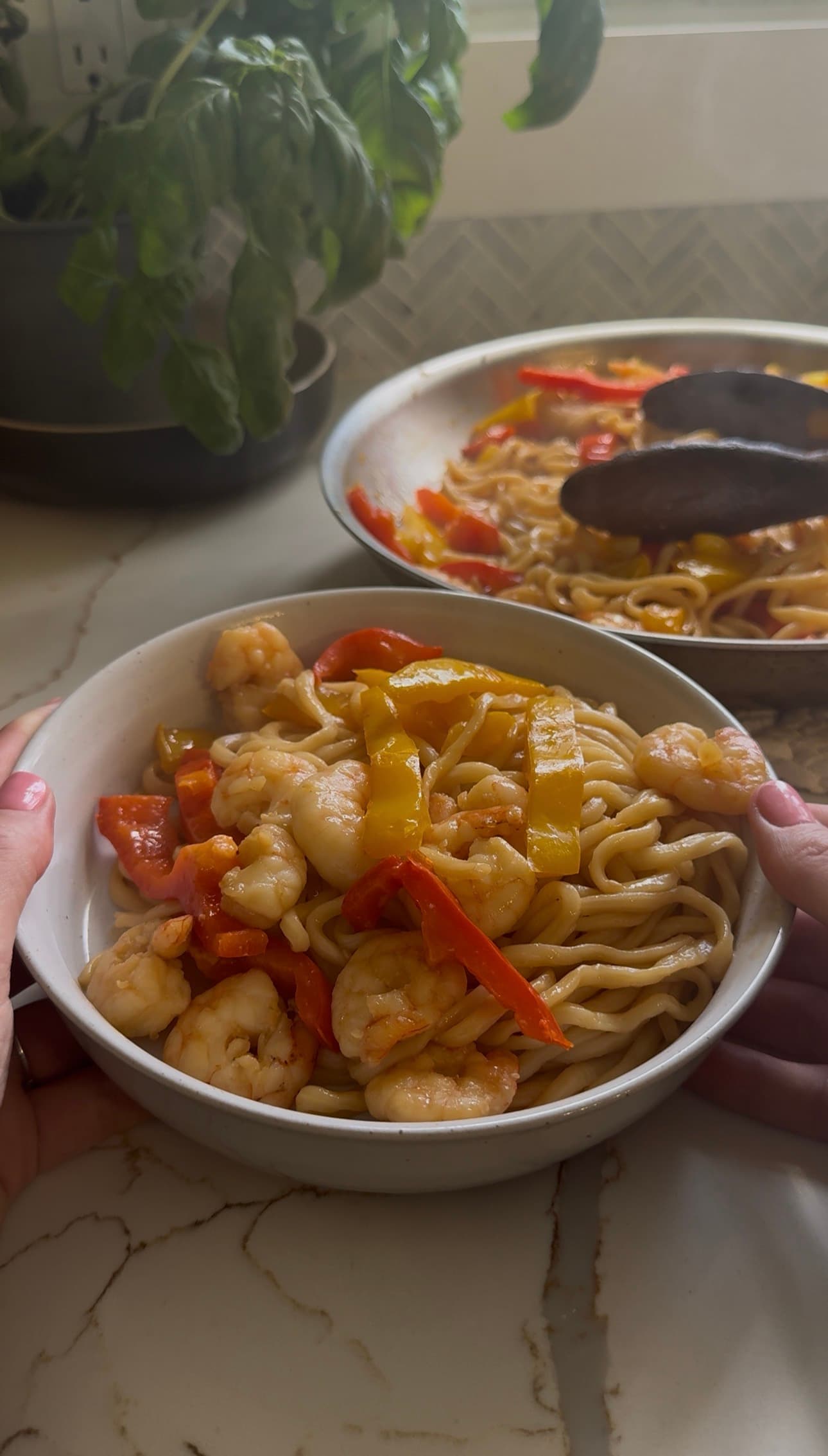 Shrimp Noodle Bowl
