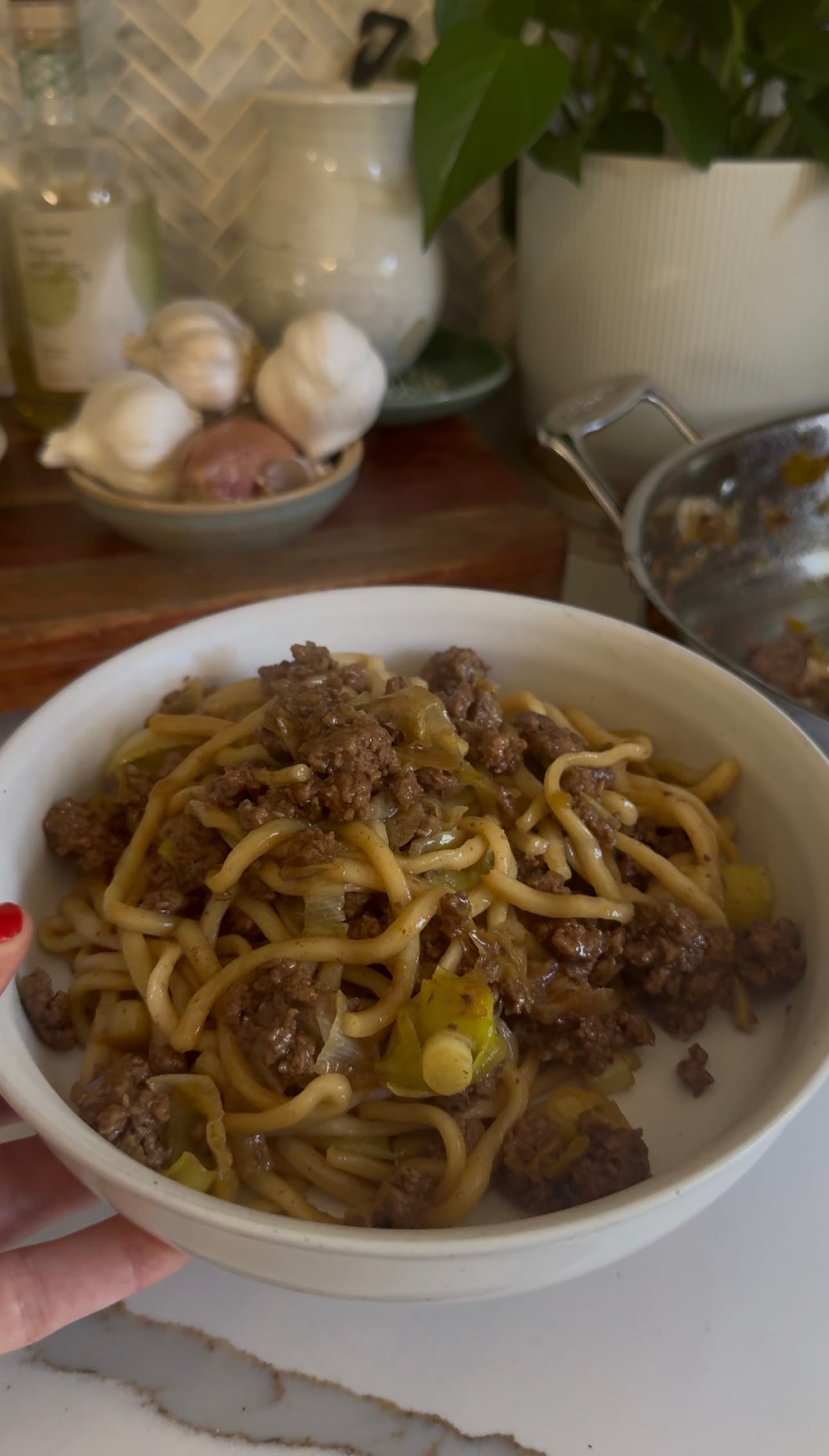 Beef and Leek Noodles