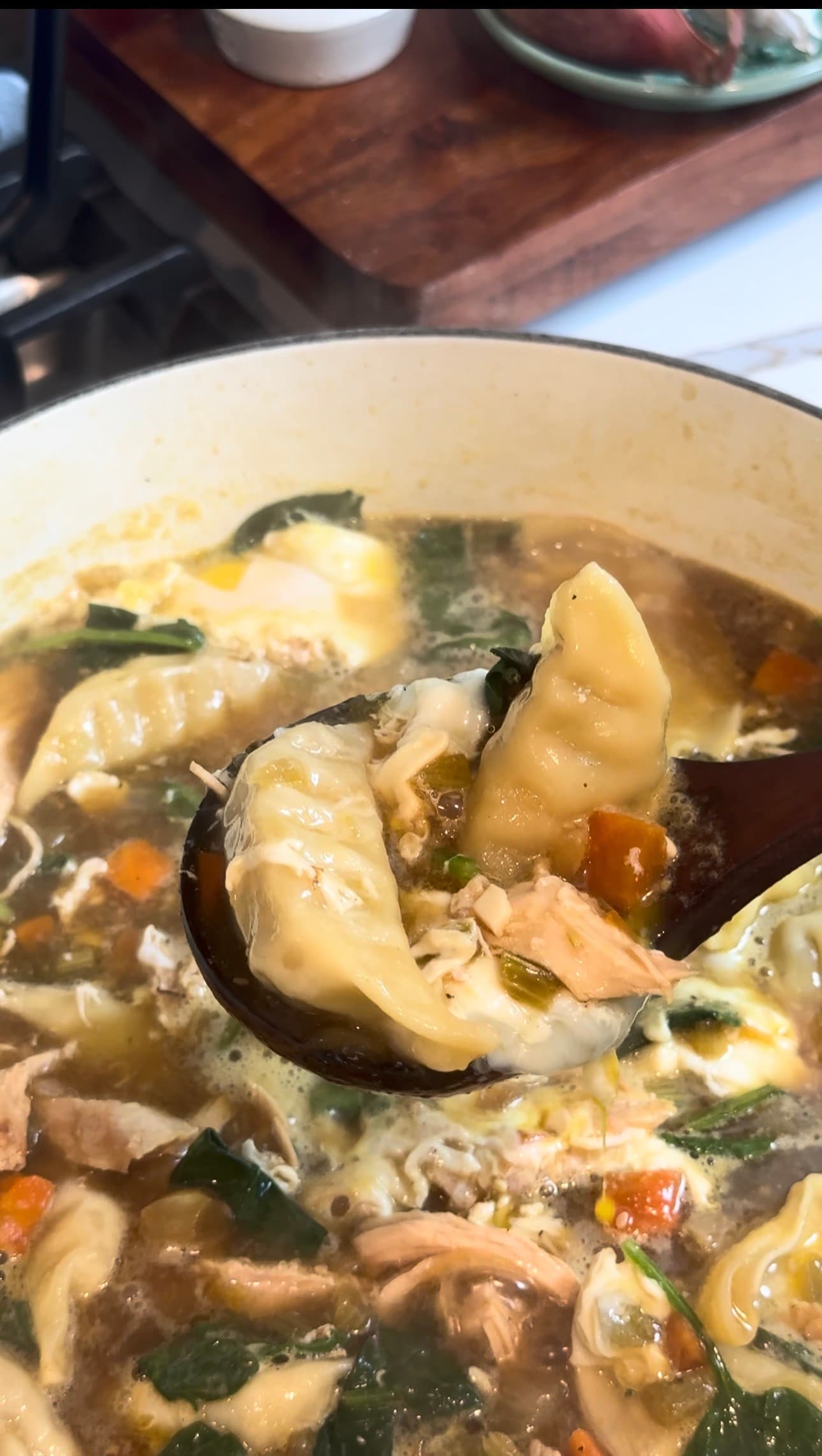 Dumpling Soup